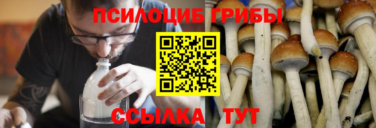 Благодарный  Галлюциногенные грибы ЛСД  Вход с VPN  Псилоцибиновые грибы мухоморы 