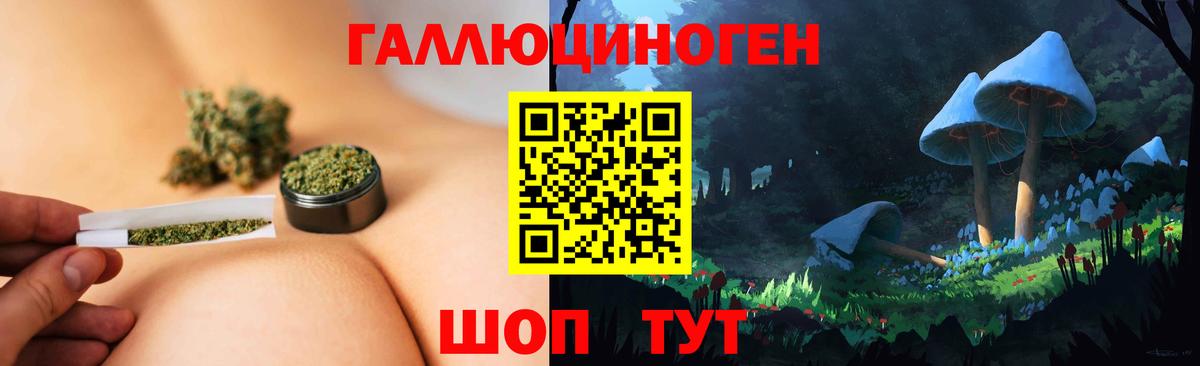 Галлюциногенные грибы мицелий Благодарный